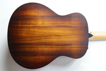 GS Mini-e KOA Plus